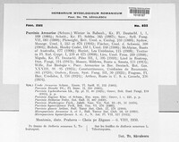 Puccinia arenariae image